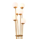 Lattiavalaisin Tortora